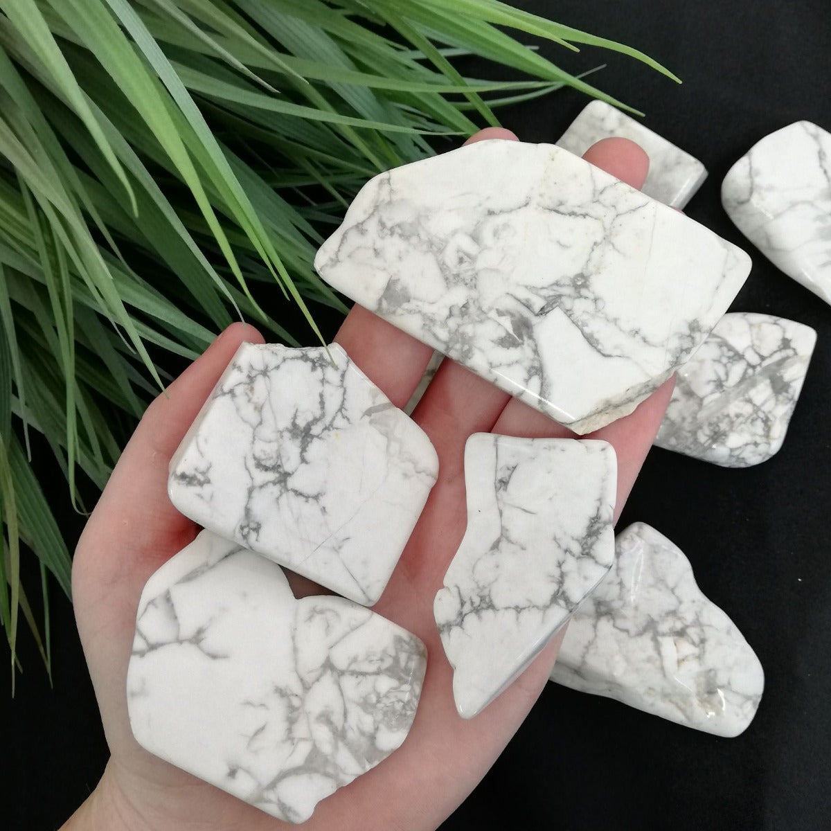 Polished Slabs - Howlite - 500g(10-20)pc Polished Slabs - Howlite - 500g(10-20)pc